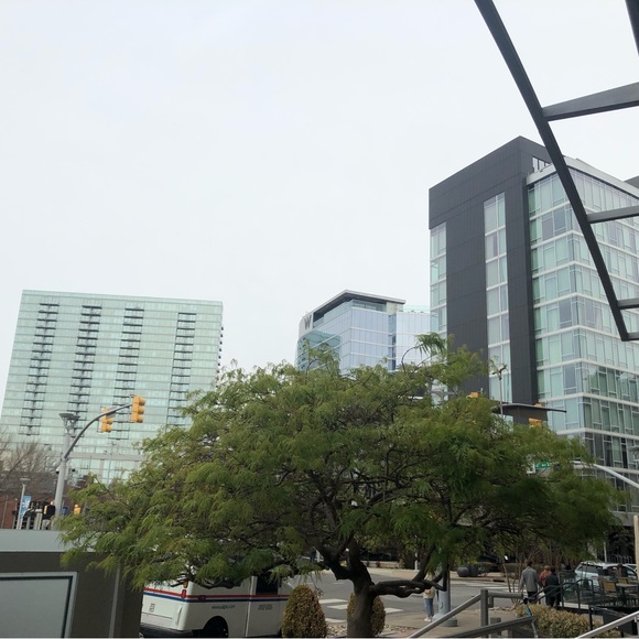 ✨Gulchie ✨ - Picture 5 of 7